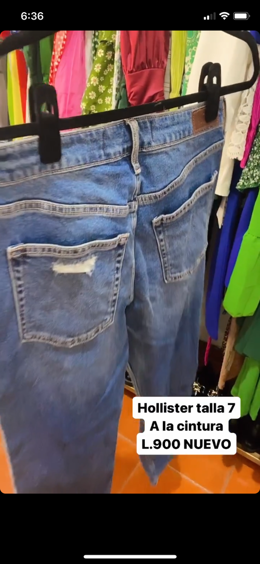 Hollister